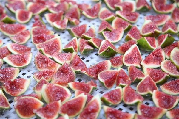 無花果加工